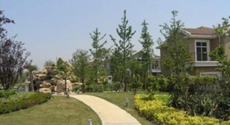 renrencaorenrenkanzaixianshipin