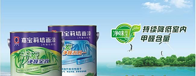 嘉宝莉竹炭净醛全效内墙乳胶漆产品价格_图片