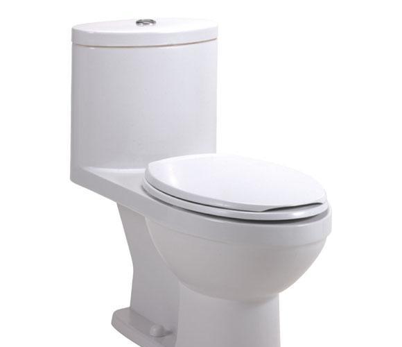 美标连体座厕丽科系列加长型CP-2007产品价格